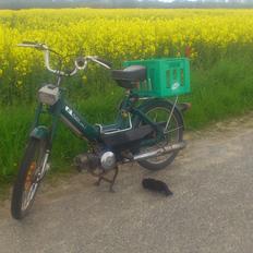Puch Maxi K (Sally)