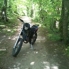 CPI Super Motard LC DD