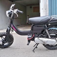 Suzuki Fz 50