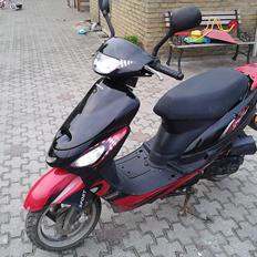 Giantco Sprint Sport