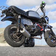 Skyteam Gorilla 140cc OC