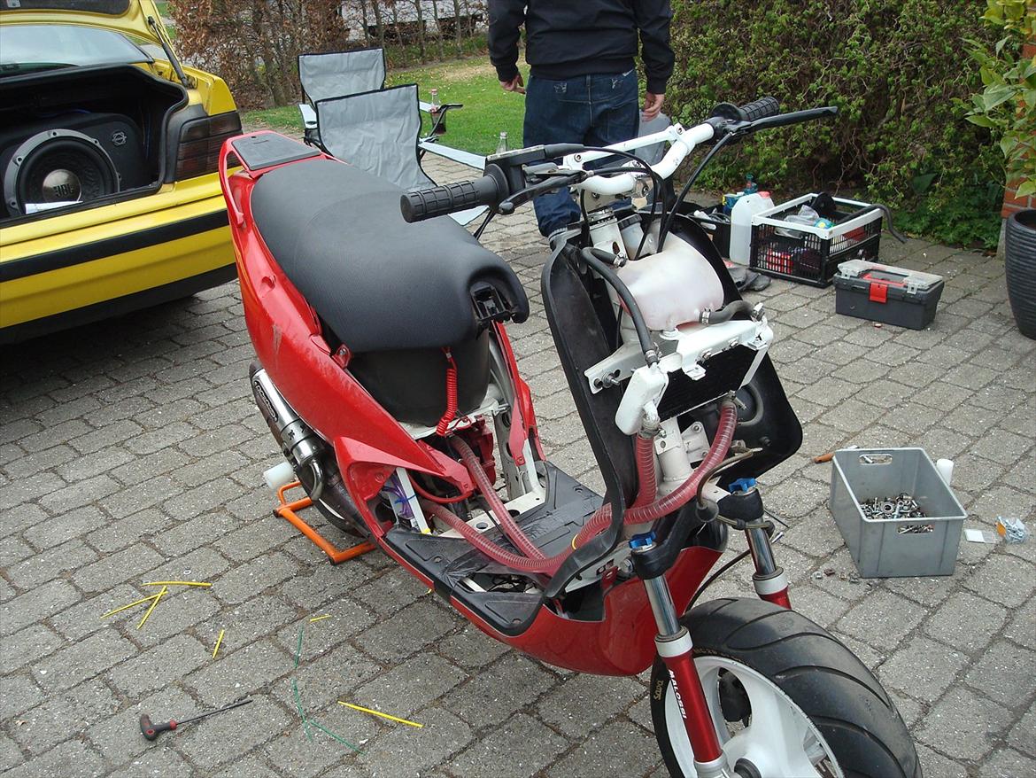 Piaggio Nrg Mc2 LC Pata Negra billede 9