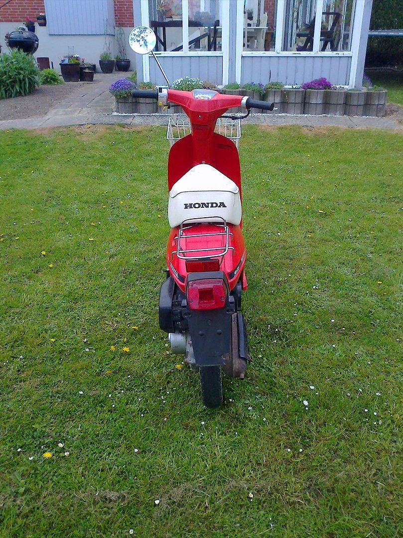 Honda melody billede 3