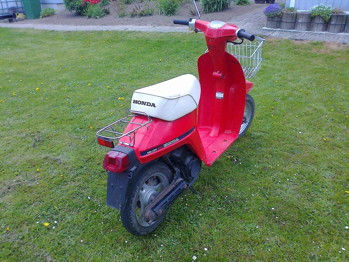 Honda melody billede 5