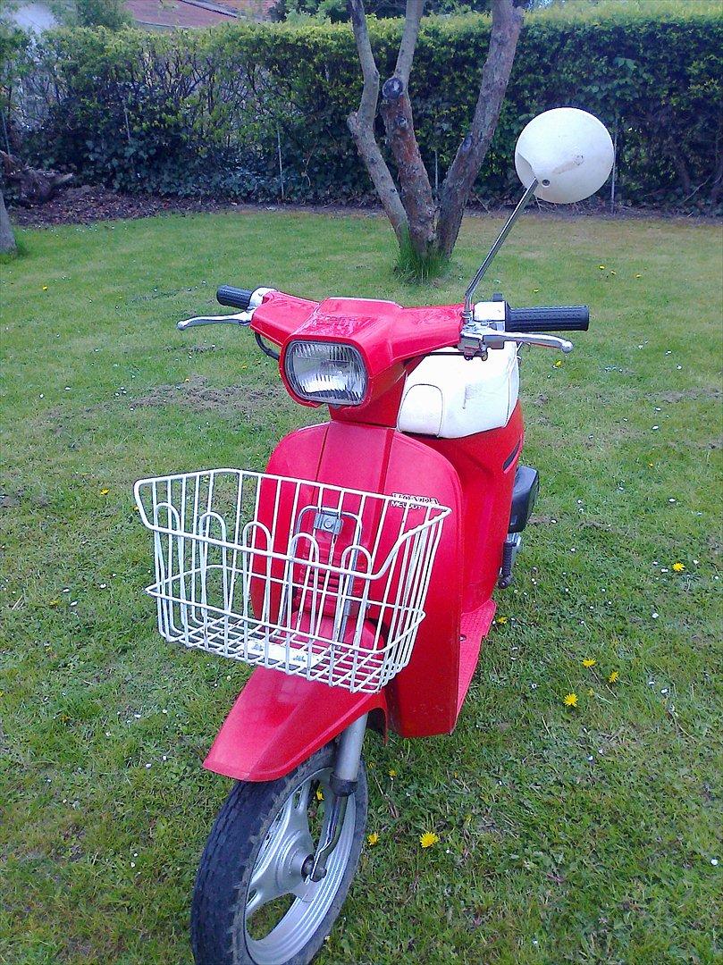 Honda melody billede 8