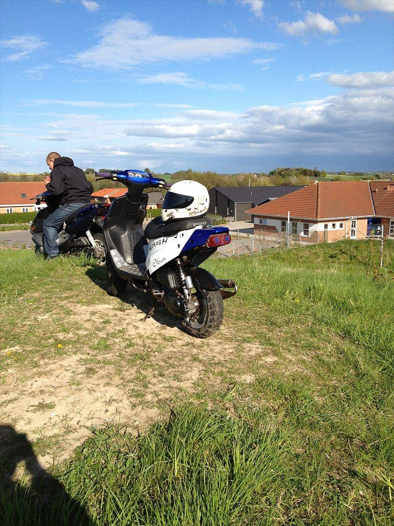 PGO Hot 50 - solgt - billede 3