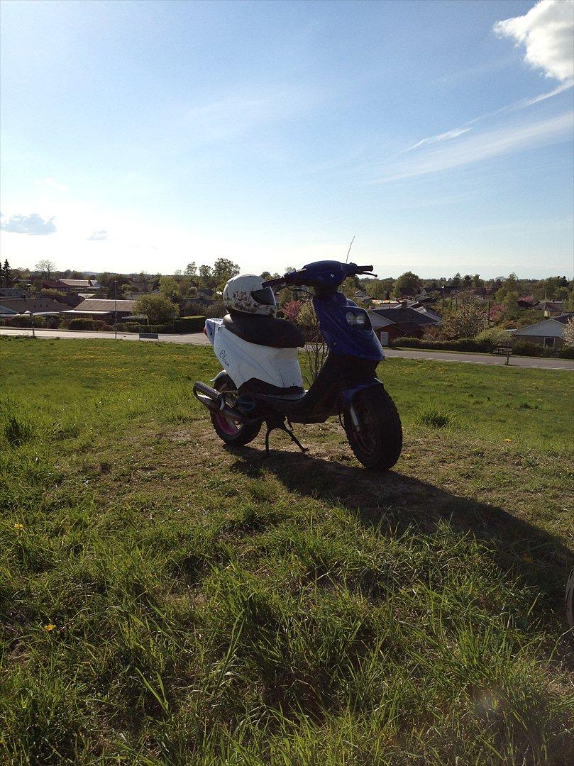 PGO Hot 50 - solgt - billede 5