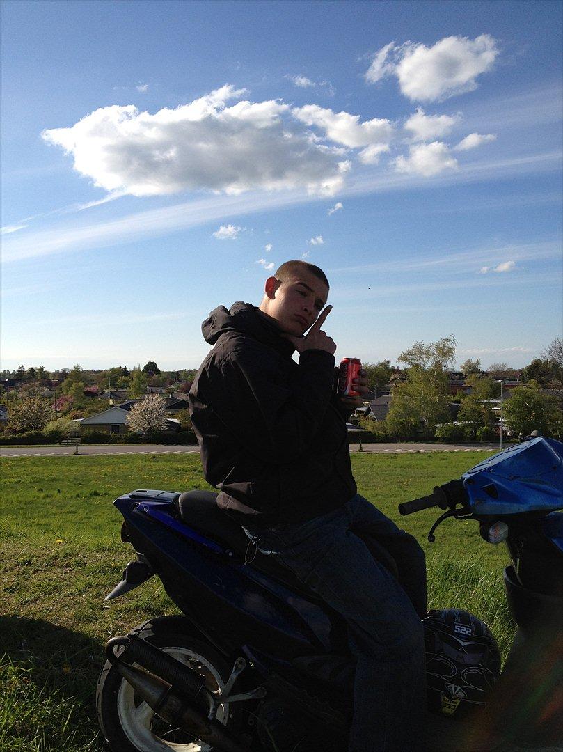 PGO Hot 50 - solgt - billede 6