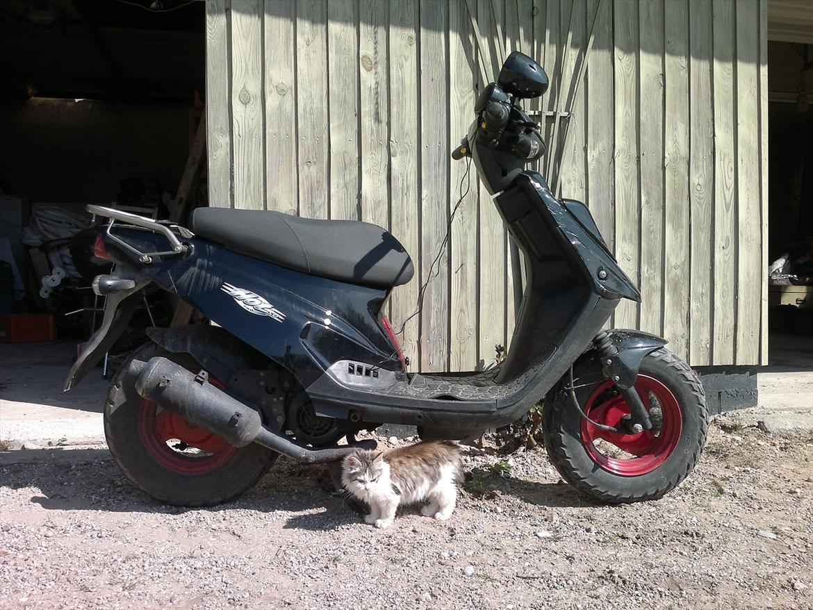 PGO Hot 50 billede 3