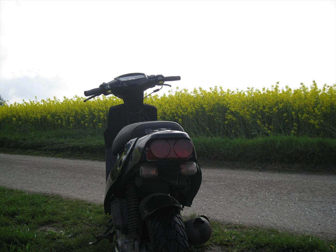 PGO hot 50 billede 7