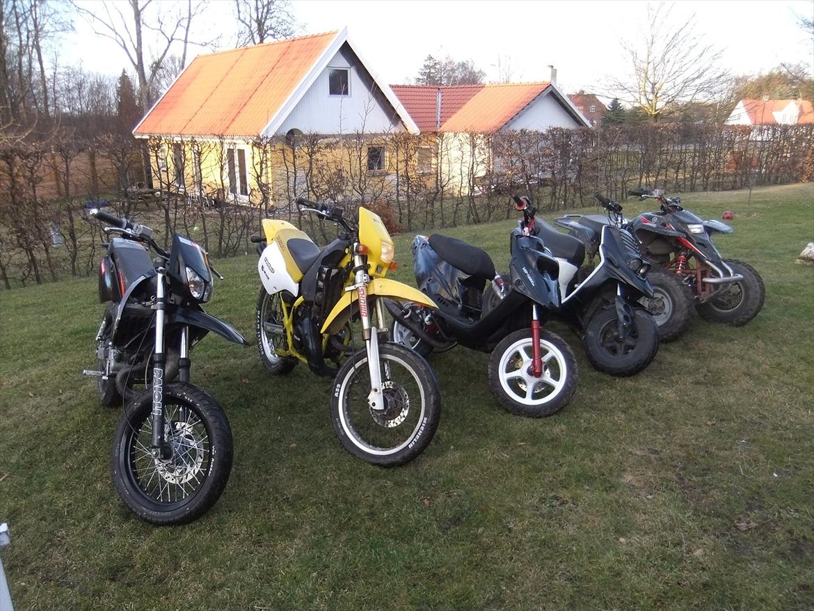 Suzuki Rmx  - Alle misserne :-D
Der er sket lidt med Rmx'eren siden :)
Pawans BWS
Emil Gabes Hotrox
Magnus Senda
Min Yamaha Blaster billede 18