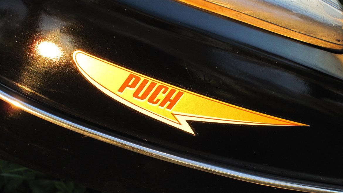 Puch ms 50  billede 12