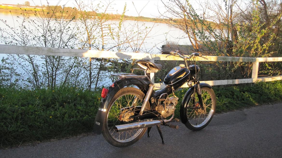 Puch ms 50  billede 13