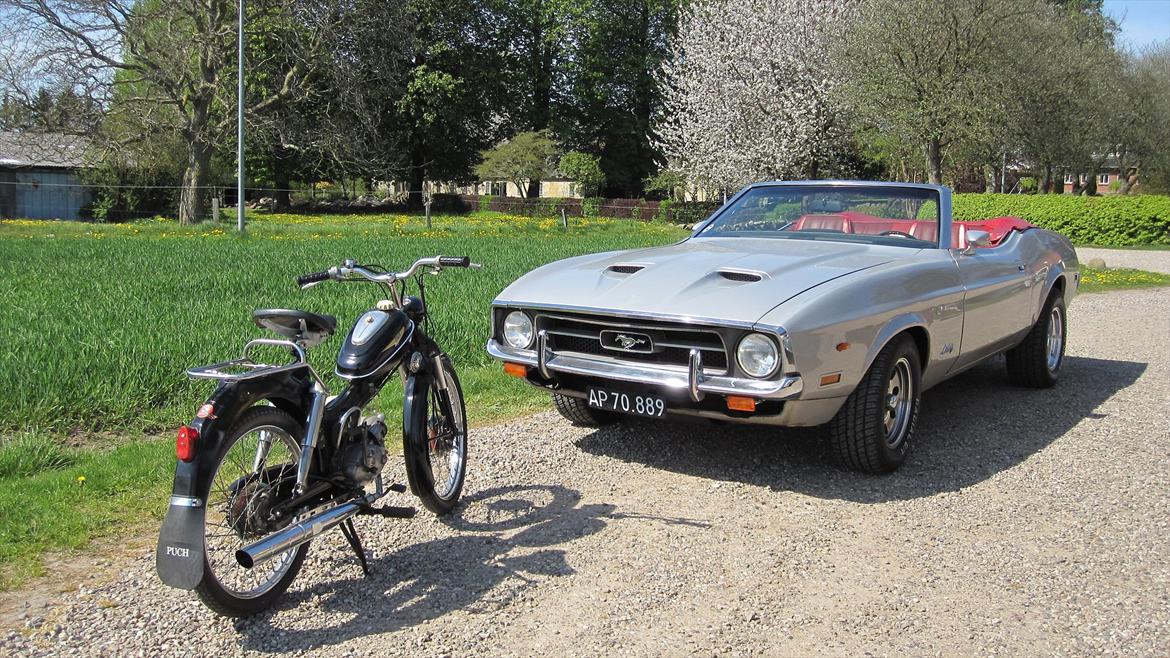 Puch ms 50  billede 18