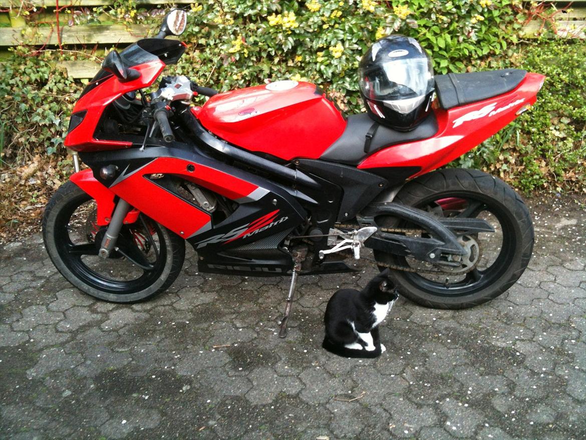 Rieju RS 2 Matrix (tidl) knallert billede 3