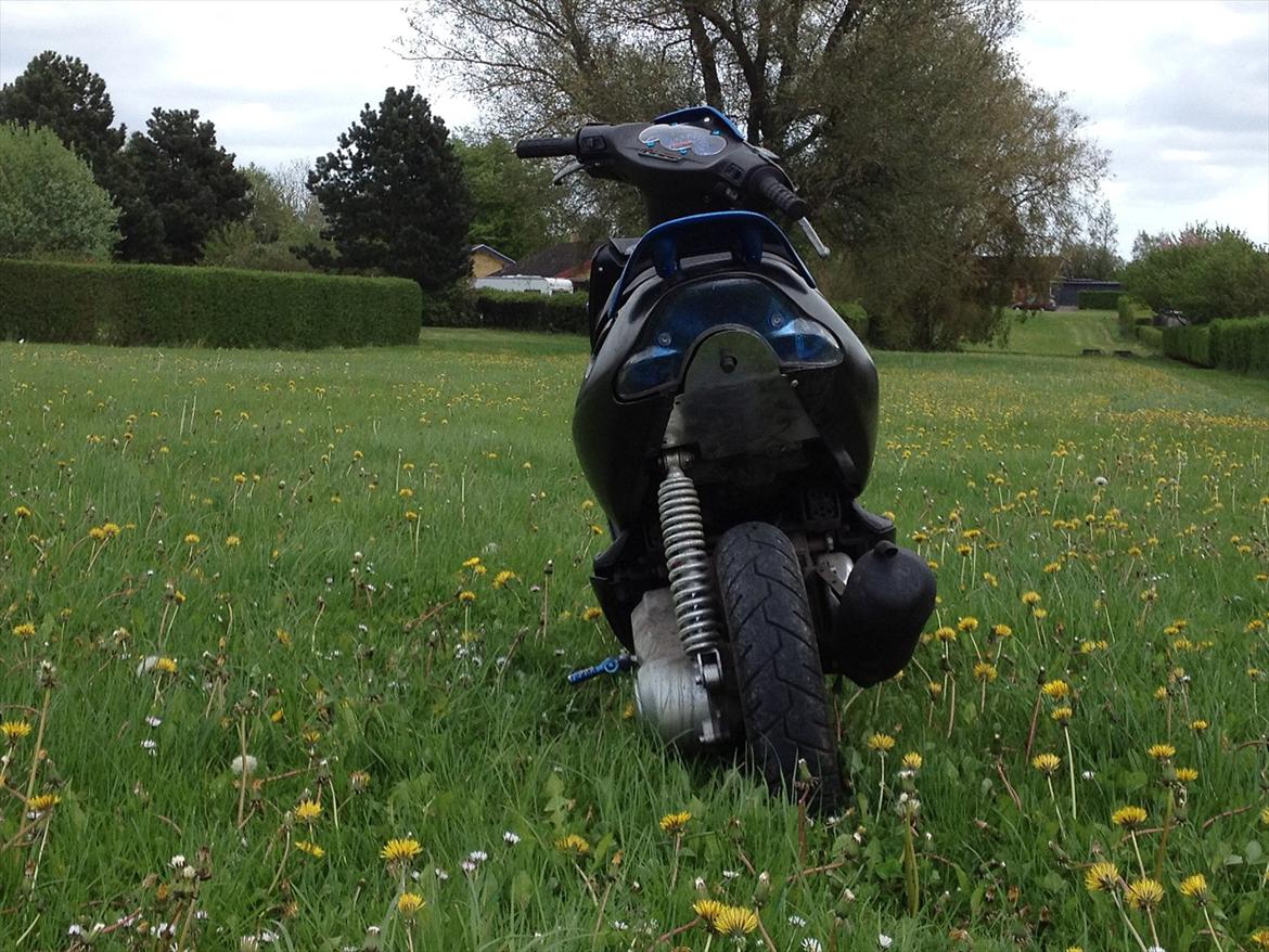 Aprilia Sonic GP billede 9