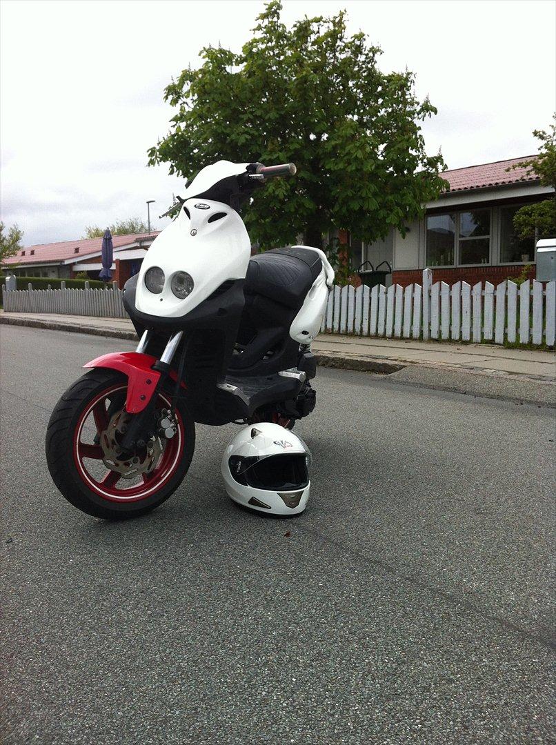 PGO Pmx No Fear billede 4