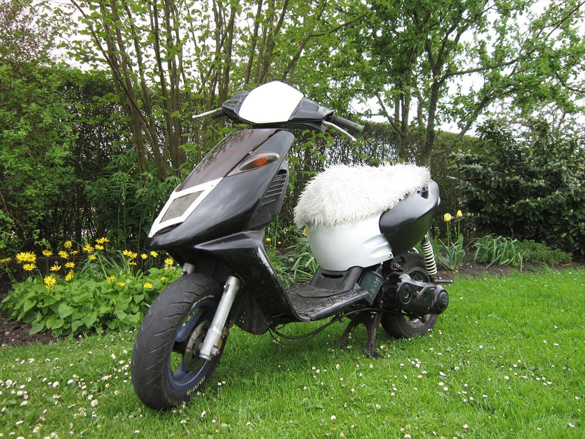 Aprilia sonic billede 2