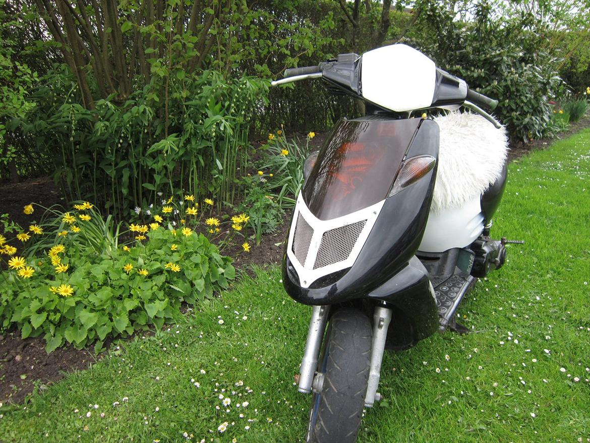 Aprilia sonic billede 3