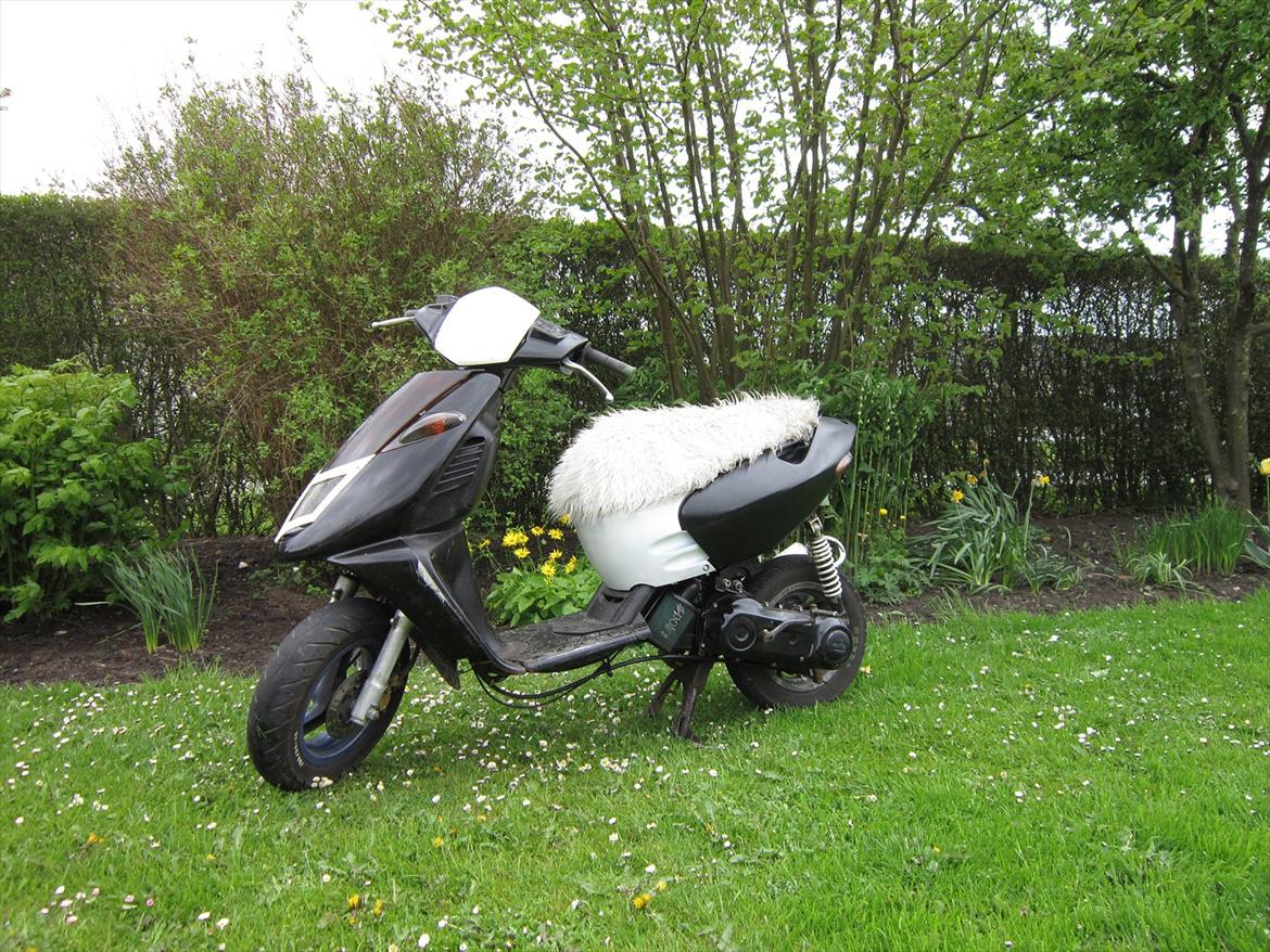 Aprilia sonic billede 5