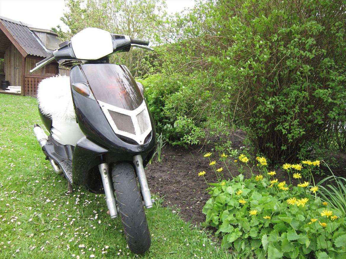 Aprilia sonic billede 7
