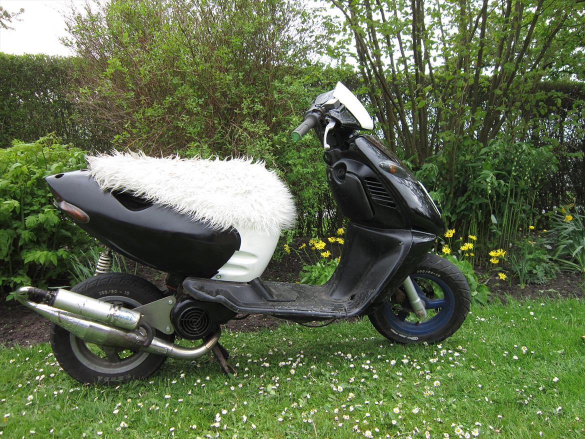 Aprilia sonic billede 8