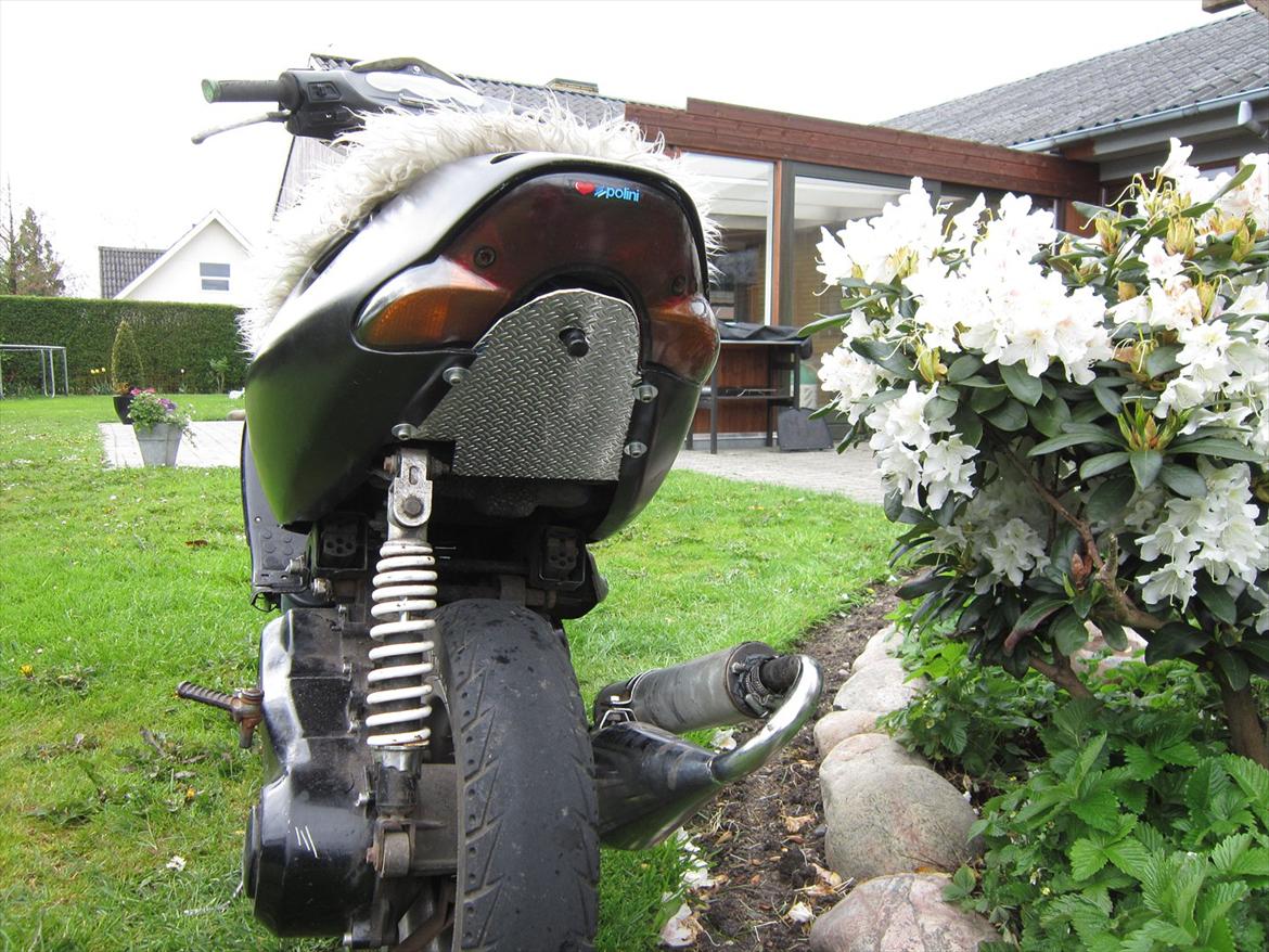 Aprilia sonic billede 11