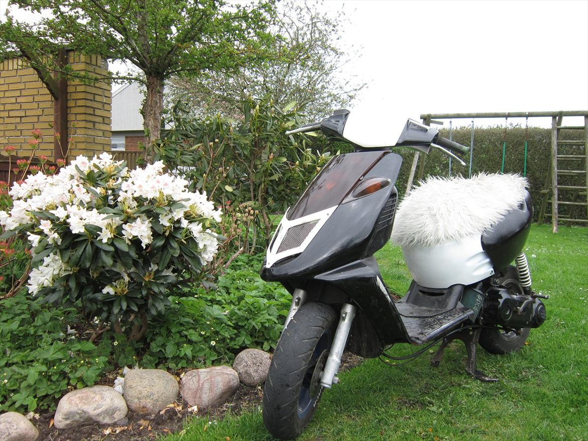 Aprilia sonic billede 1