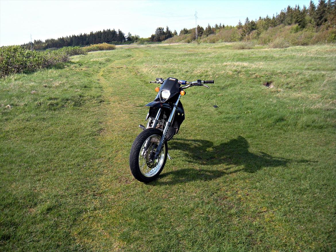 Gilera SMT billede 14