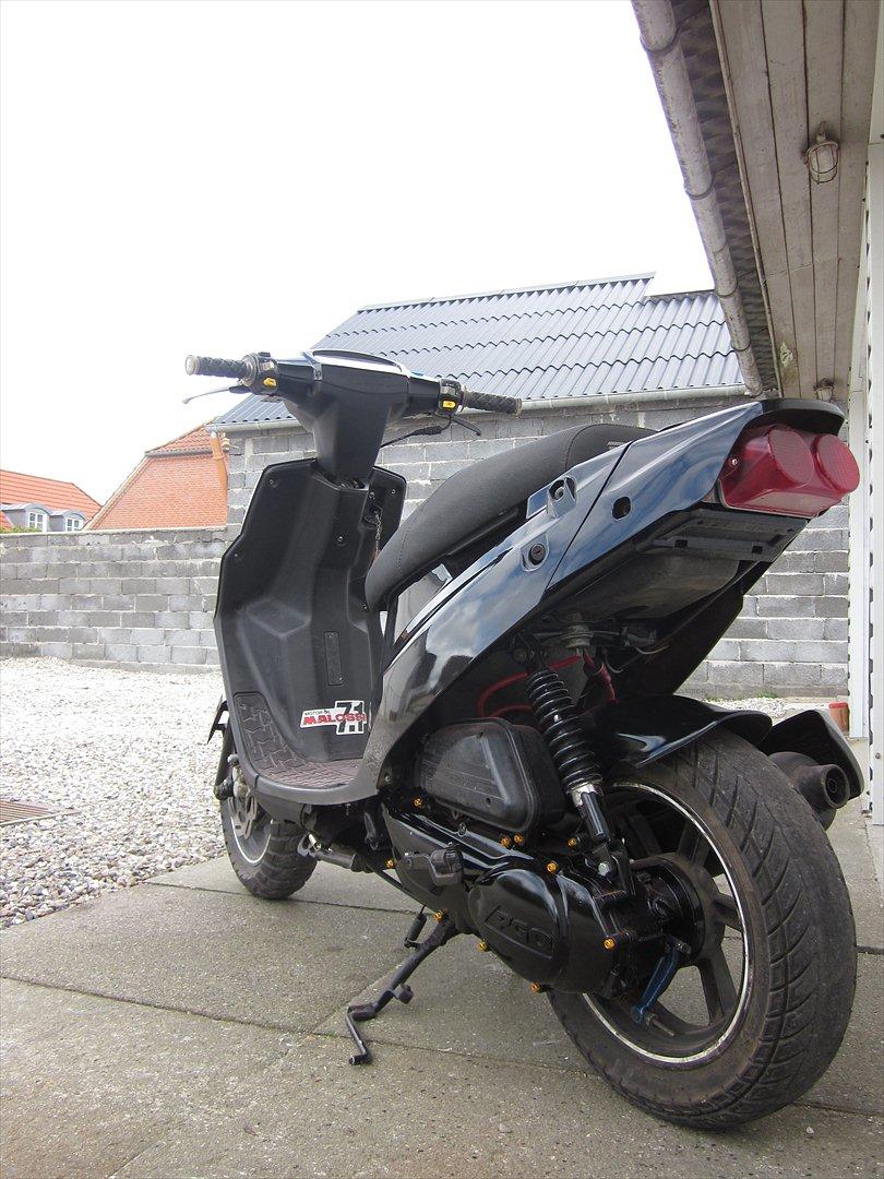 PGO Hot 50  billede 17