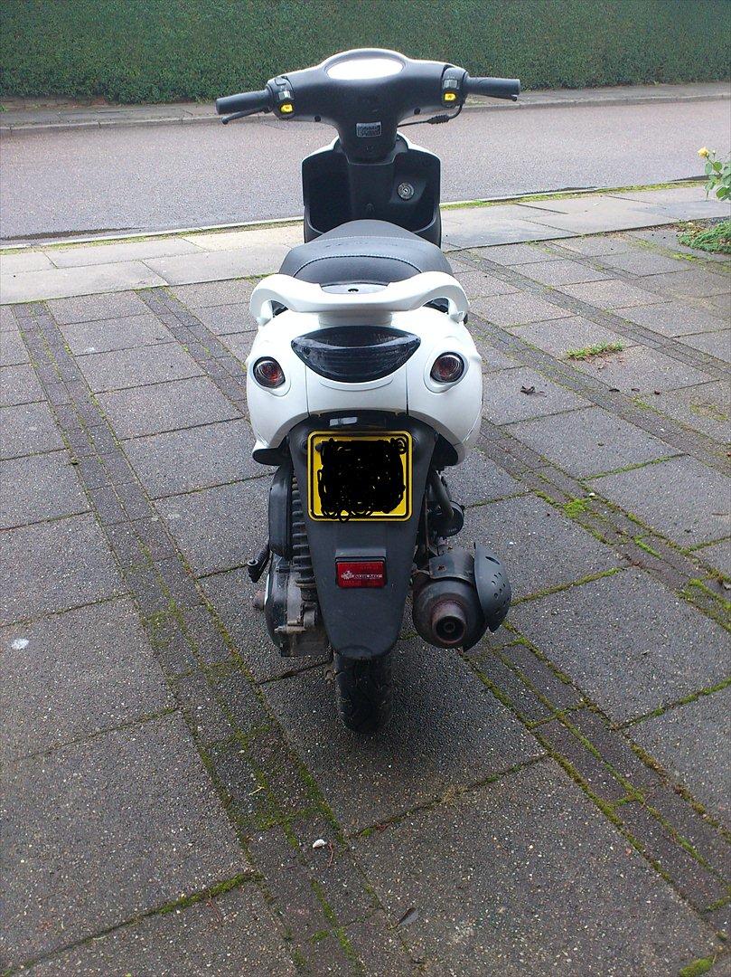 PGO White Magic - It's Magic billede 6