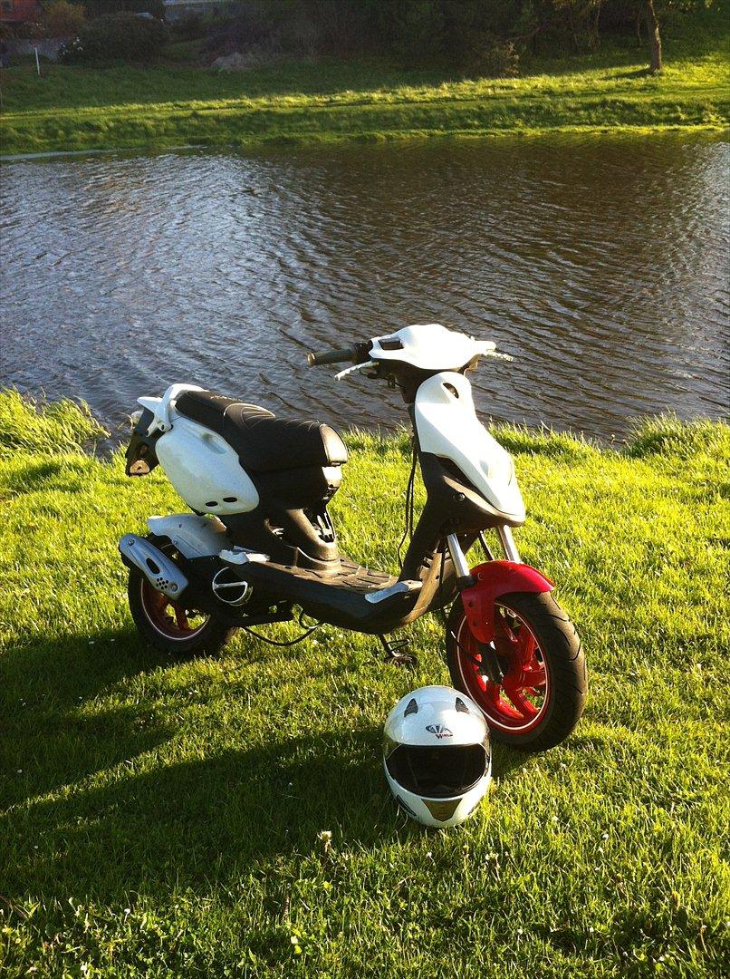 PGO Pmx No Fear billede 7