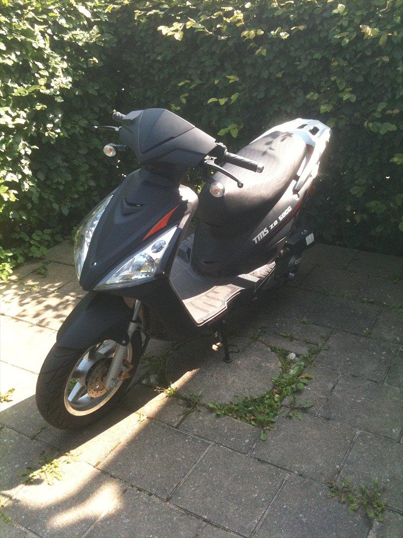 TMS z2 50cc billede 1