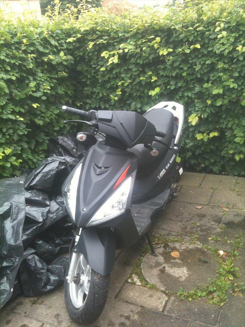 TMS z2 50cc billede 9