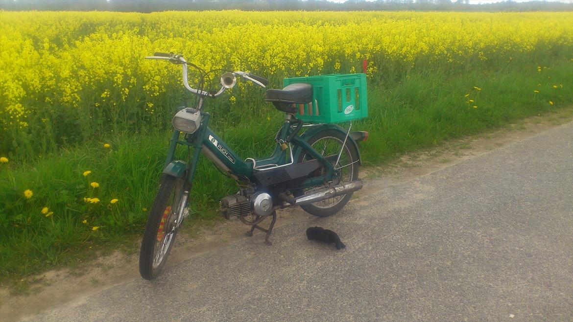 Puch Maxi K (Sally) billede 2