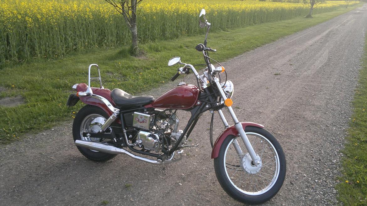 Regal Raptor billede 6