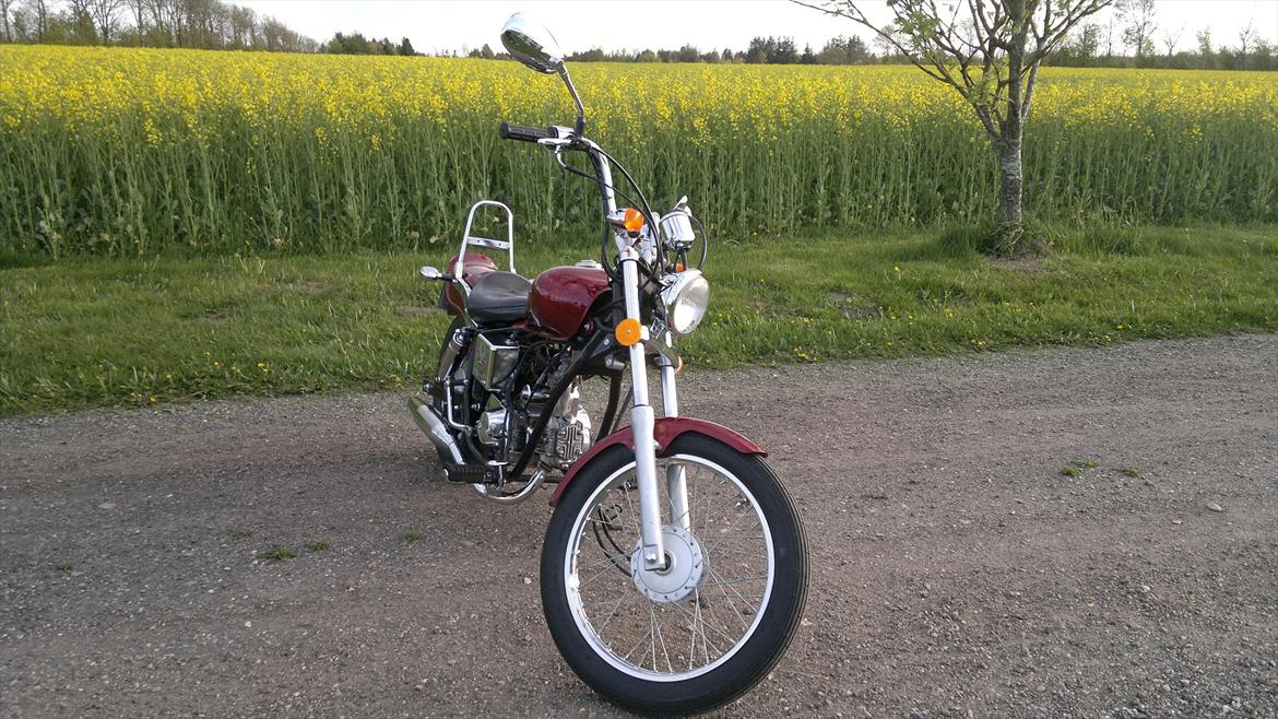 Regal Raptor billede 4