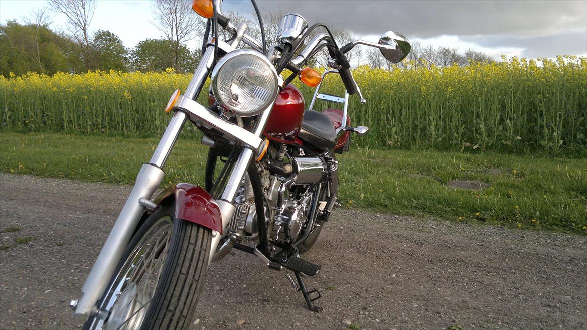 Regal Raptor billede 8