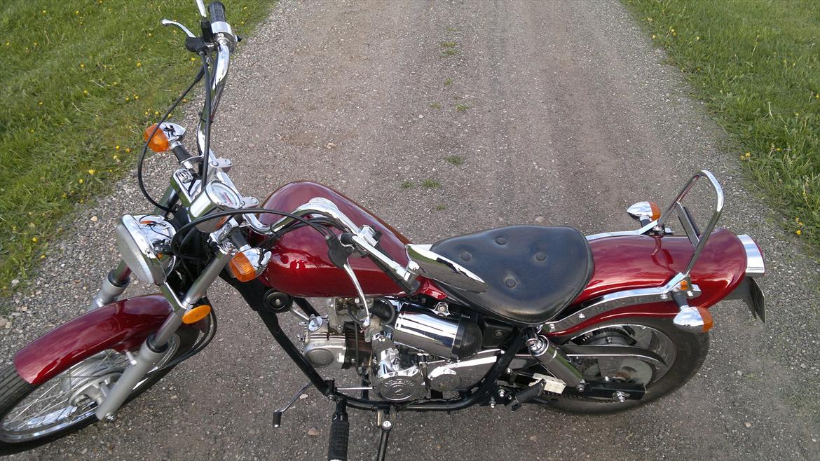 Regal Raptor billede 9