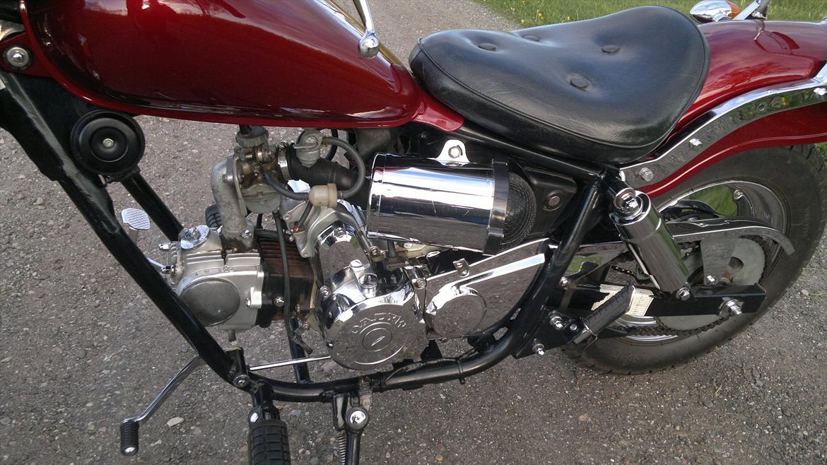 Regal Raptor billede 10