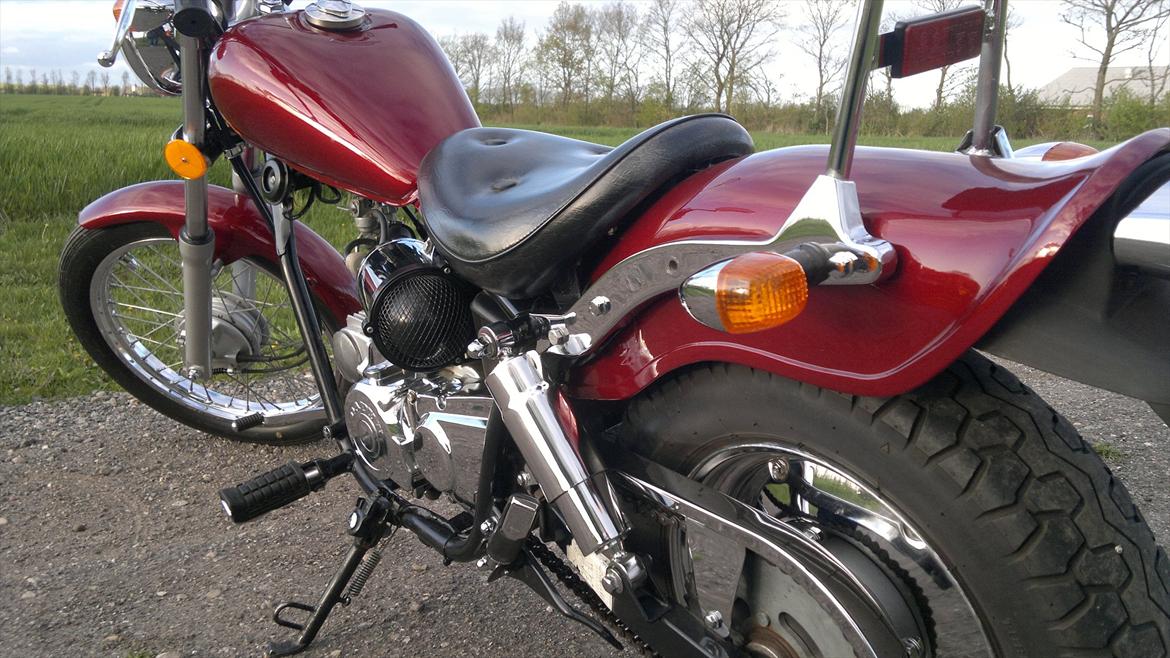 Regal Raptor billede 11