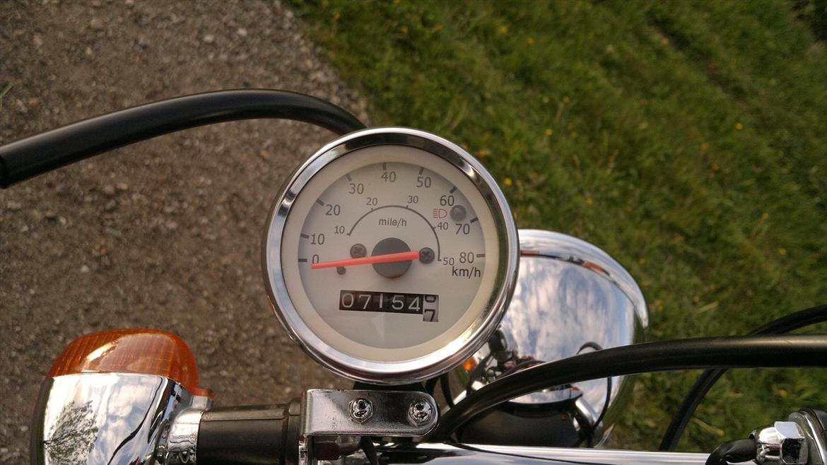 Regal Raptor billede 14