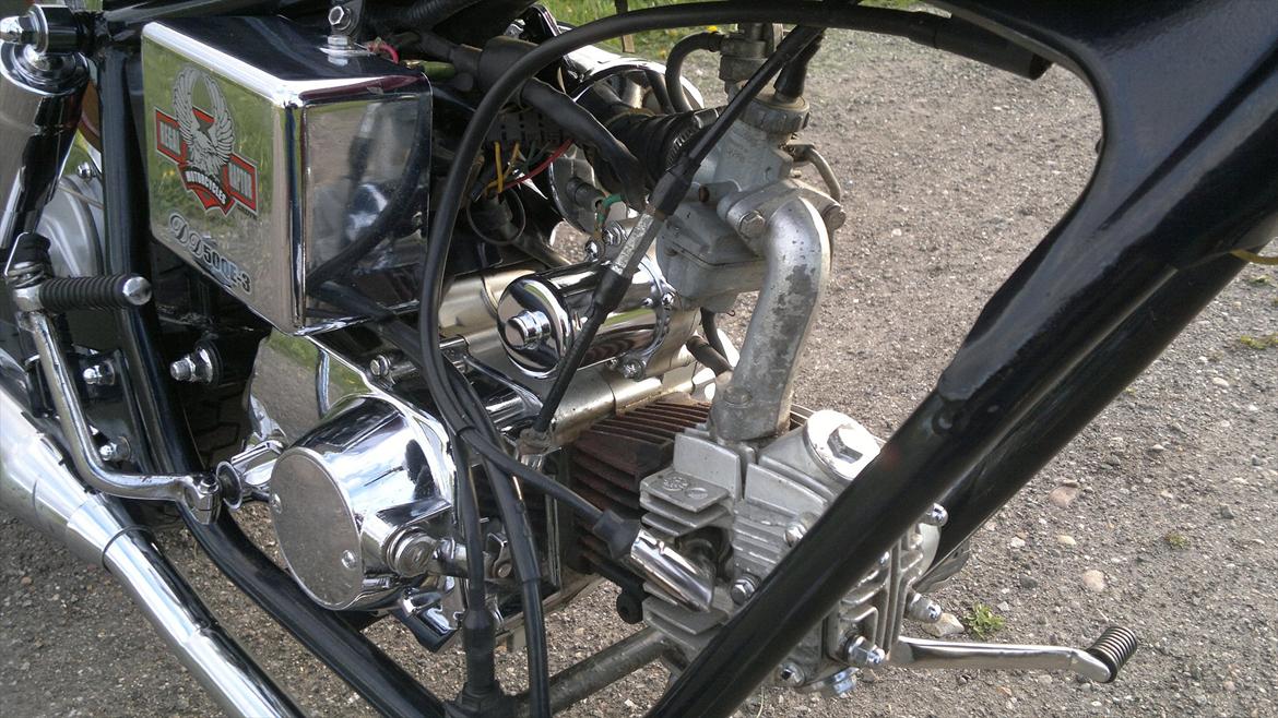 Regal Raptor billede 16