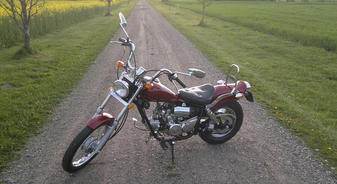 Regal Raptor billede 1