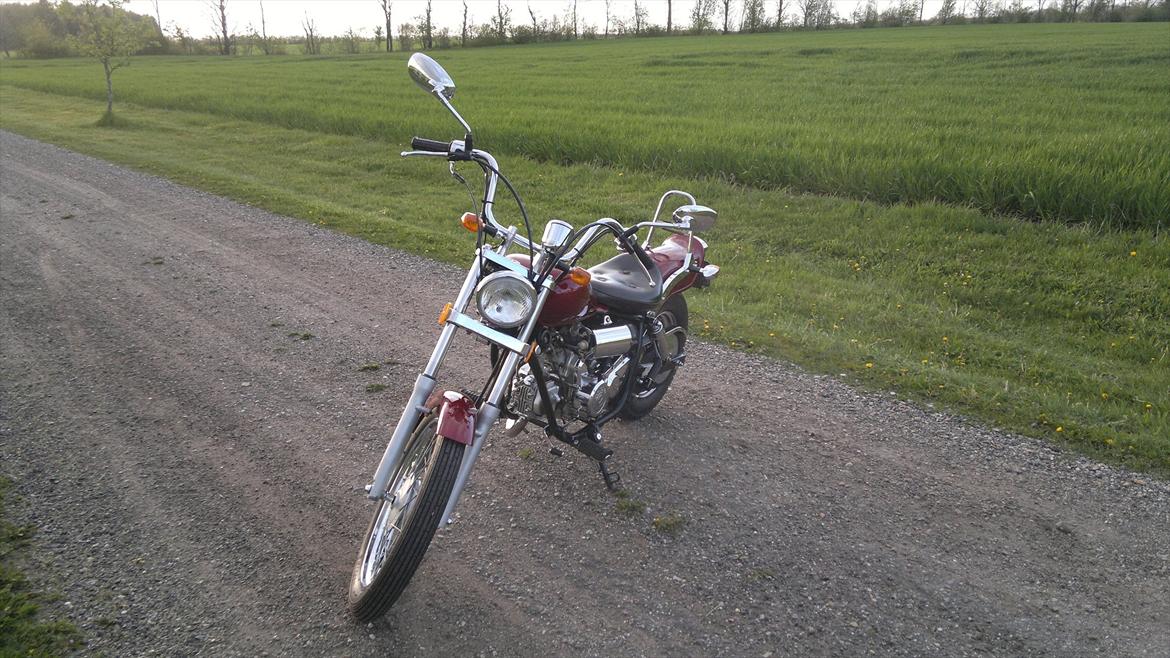 Regal Raptor billede 2