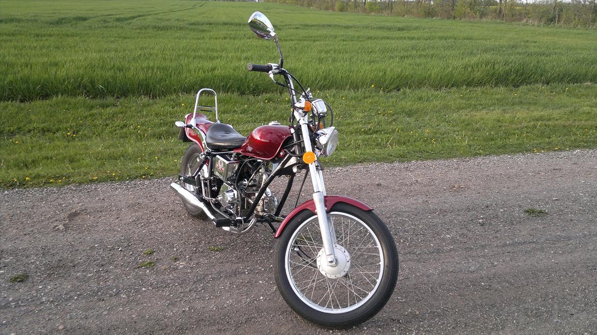 Regal Raptor billede 5