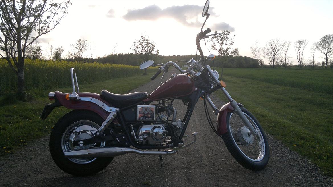 Regal Raptor billede 18