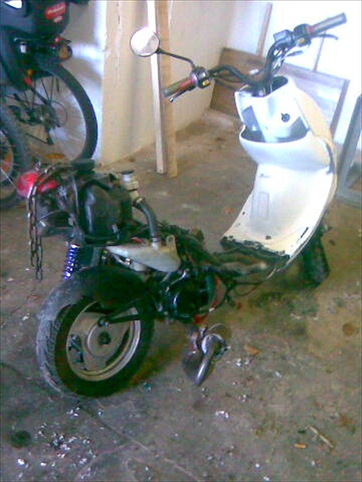 PGO rodoshow billede 2