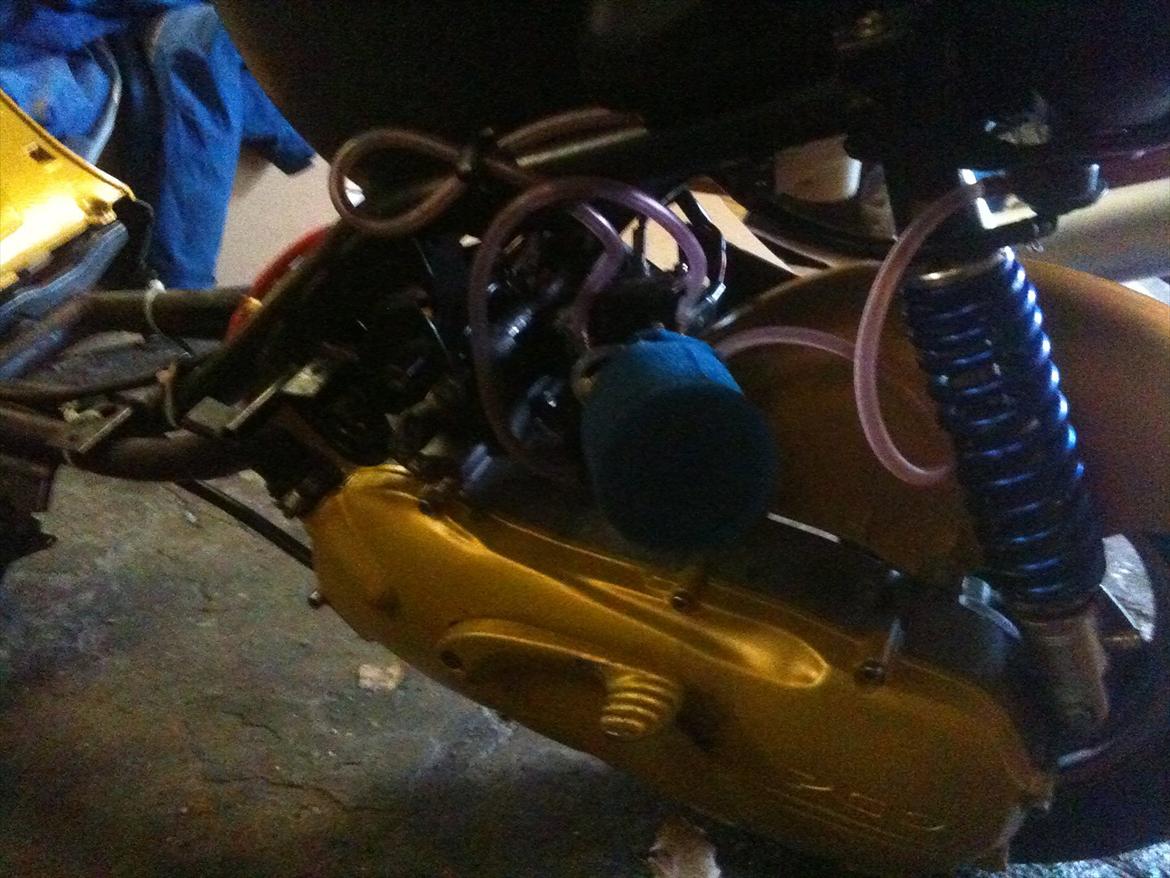 PGO rodoshow billede 4