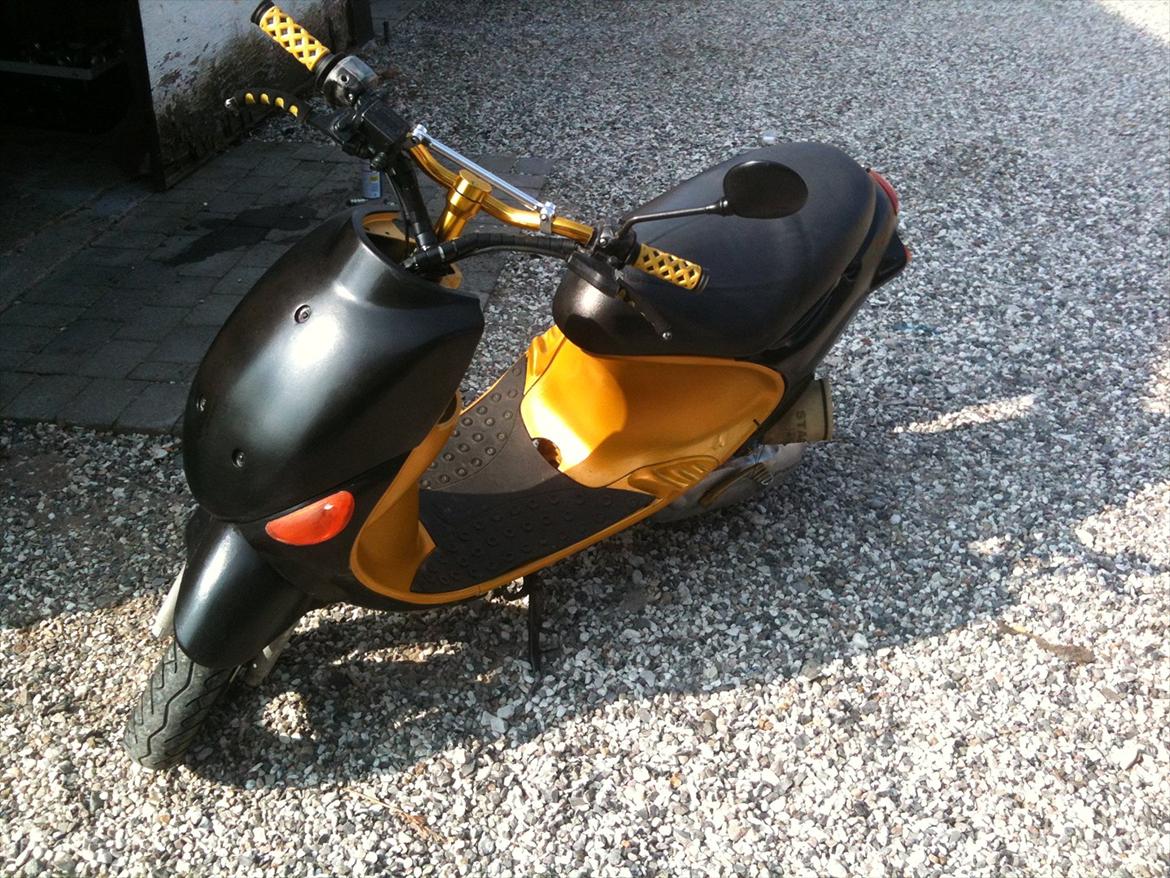 PGO rodoshow billede 6